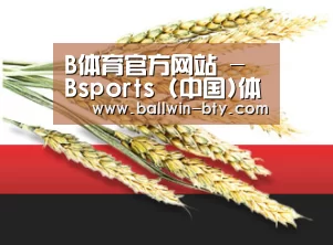 B体育官方网站 - Bsports (中国)体育赛事入口