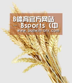 B体育官方网站 - Bsports (中国)体育赛事入口