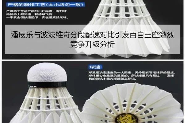 潘展乐与波波维奇分段配速对比引发百自王座激烈竞争升级分析