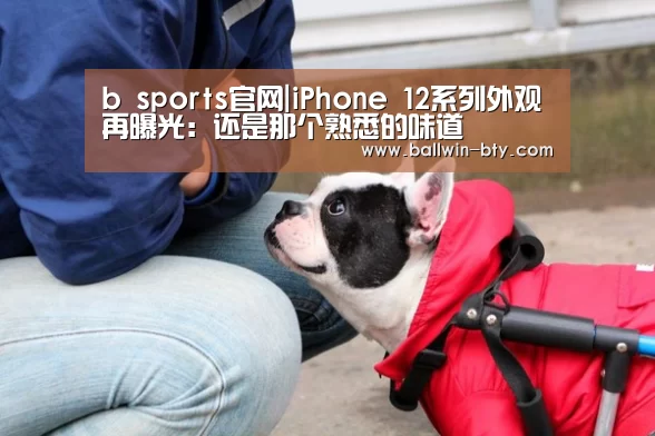 b sports官网|iPhone 12系列外观再曝光:还是那个熟悉的味道(图1) b sports官网